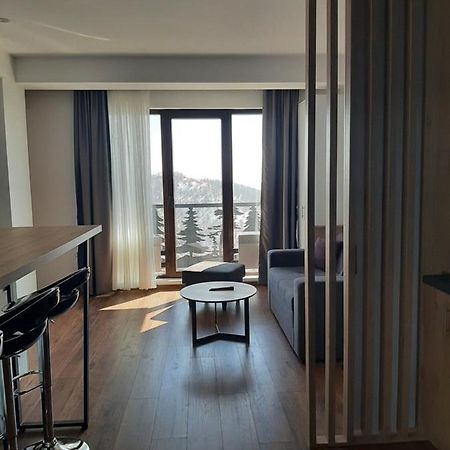 Hotel Ariš Kopaonik apartman A21 Bagian luar foto