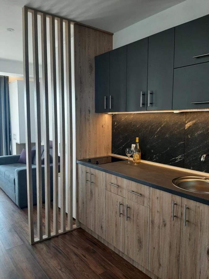 Hotel Ariš Kopaonik apartman A21 Bagian luar foto