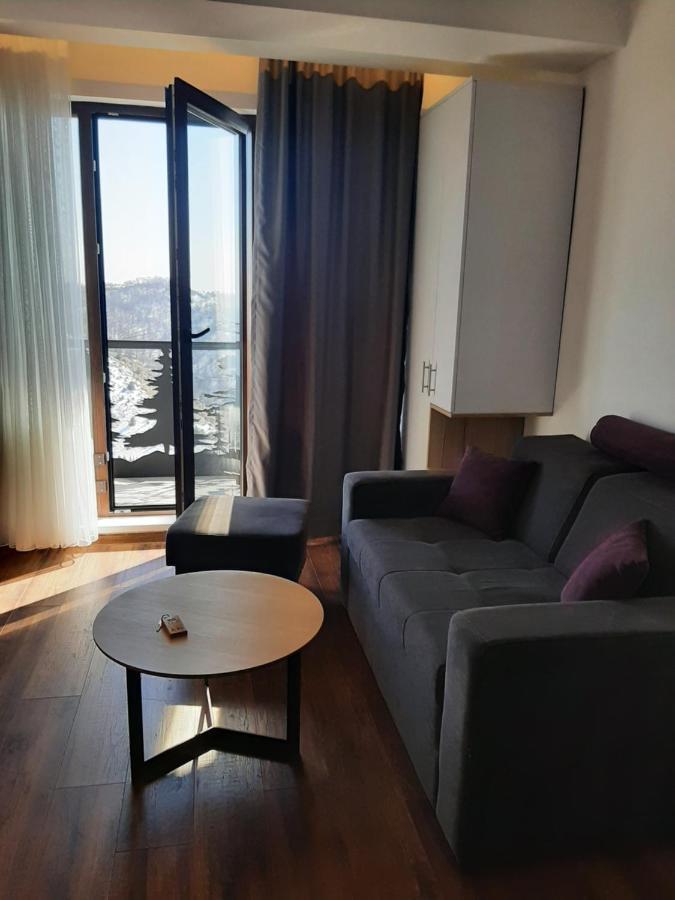 Hotel Ariš Kopaonik apartman A21 Bagian luar foto