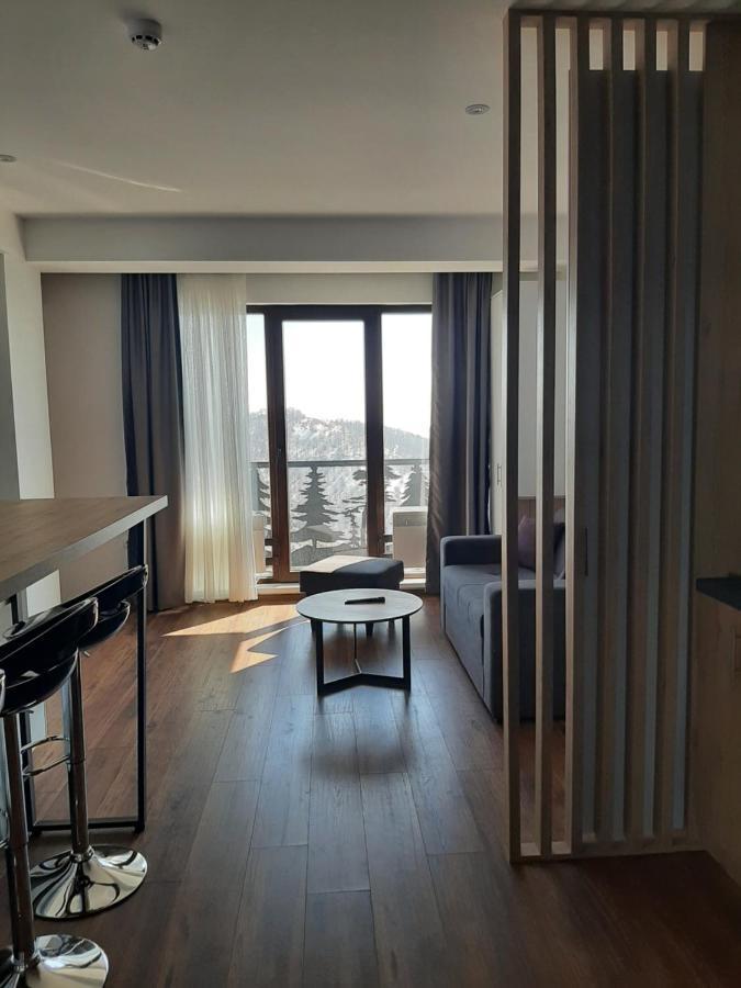 Hotel Ariš Kopaonik apartman A21 Bagian luar foto