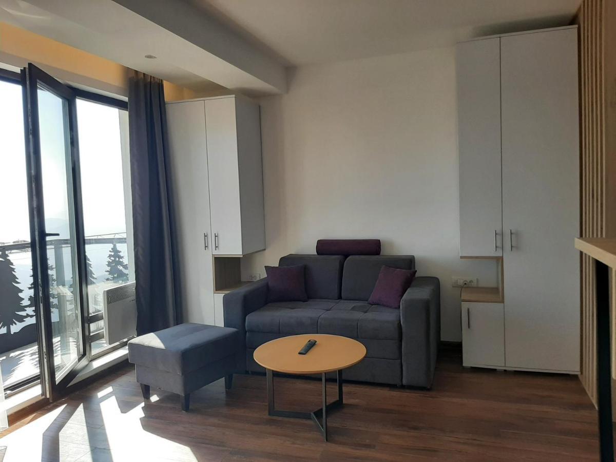 Hotel Ariš Kopaonik apartman A21 Bagian luar foto