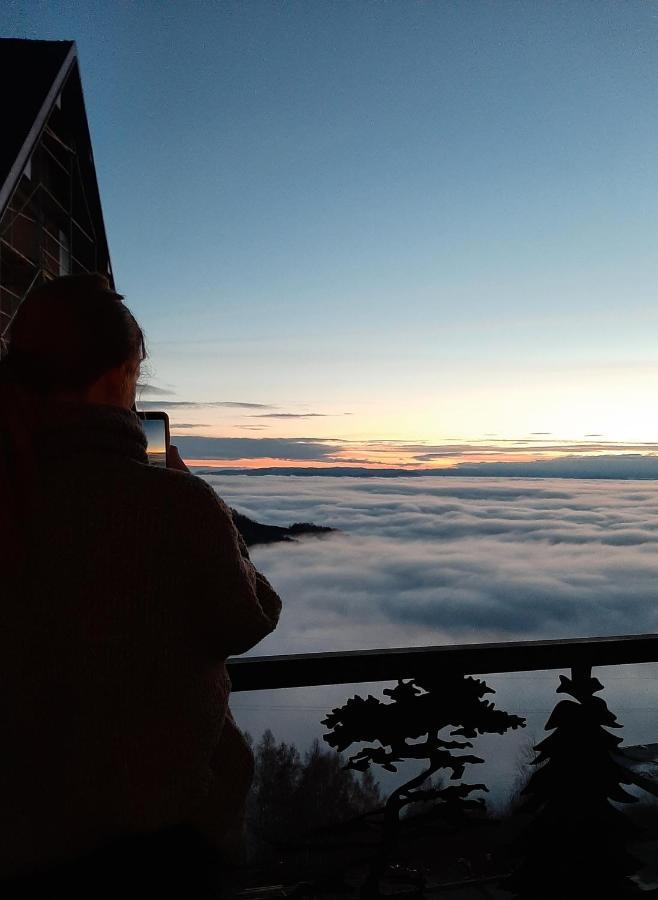 Hotel Ariš Kopaonik apartman A21 Bagian luar foto